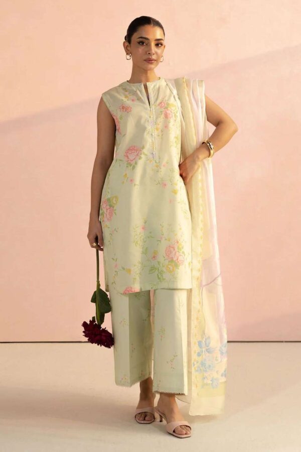 COCO PRINTED  2025 BY ZARA SHAHJAHAN