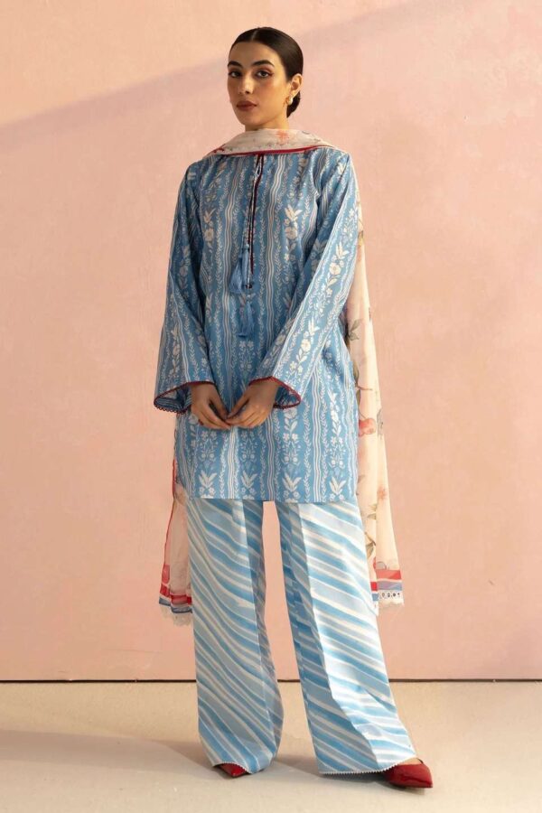 COCO PRINTS 2025 BY ZARA SHAHJAHAN